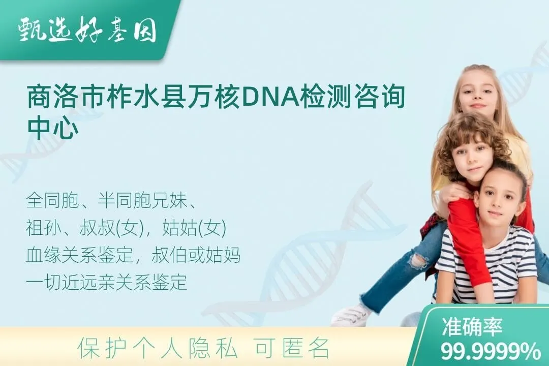 商洛市柞水县亲缘亲子关