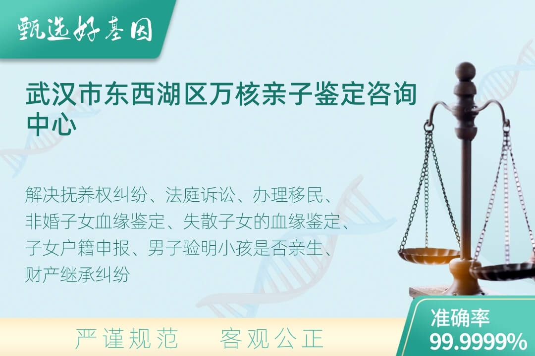武汉市东西湖区司法DNA亲子鉴定