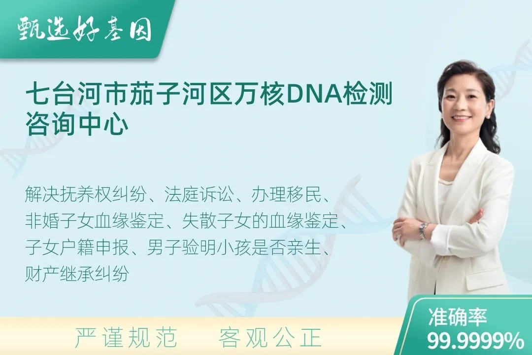 七台河市茄子河区司法DN